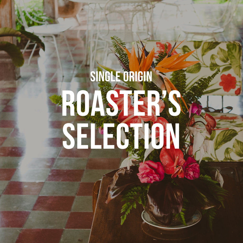 Roaster's Selection | Single Origin - Subscription Only Title Card