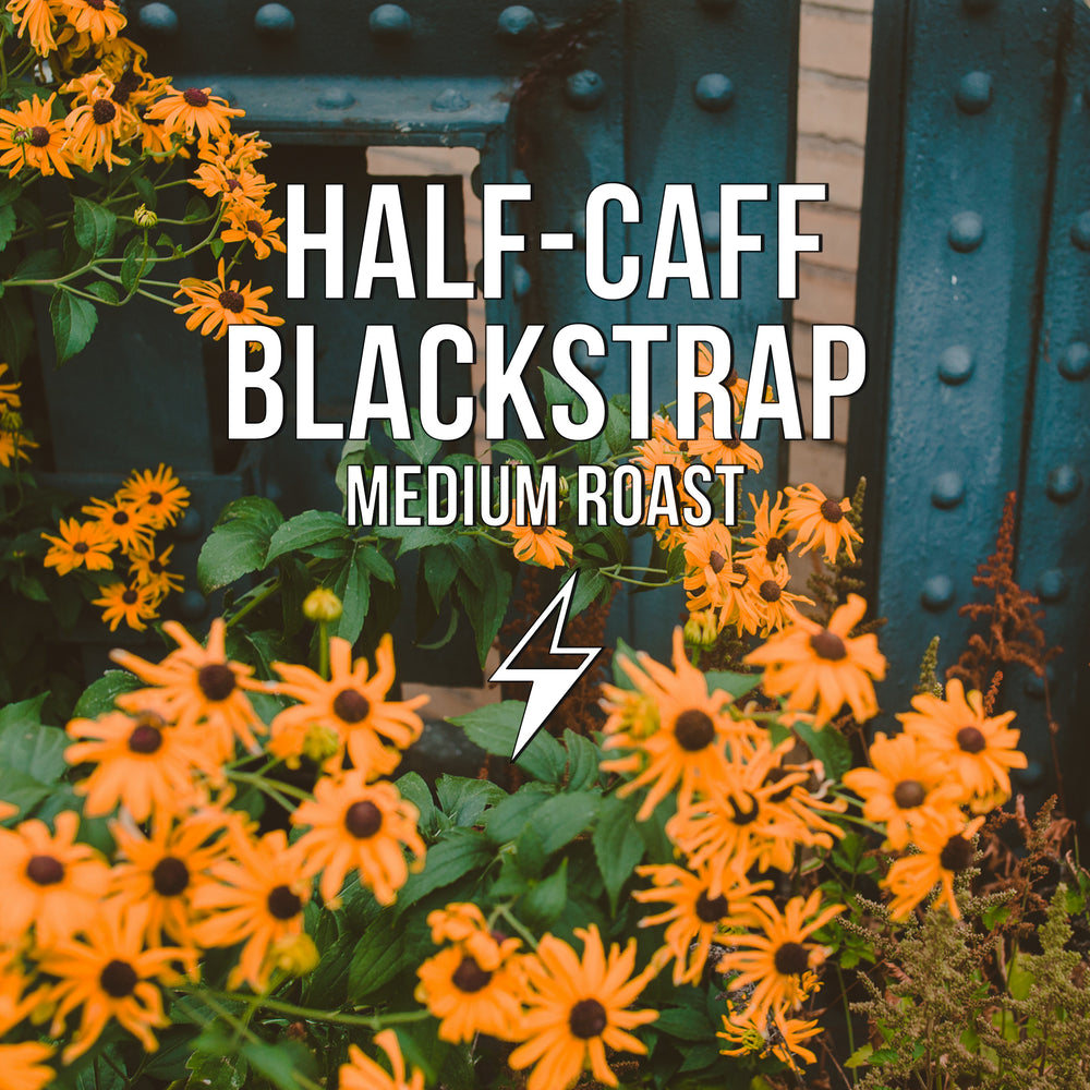 Half-Caff Blackstrap Title Card