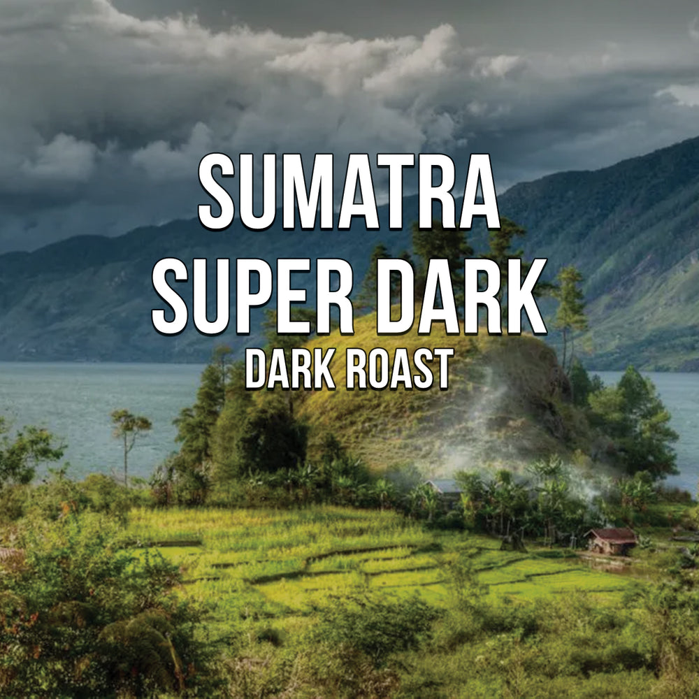 Bulk | Sumatra Super Dark Title Card