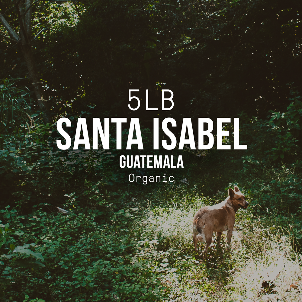 Bulk | Santa Isabel, Guatemala | Organic Title Card