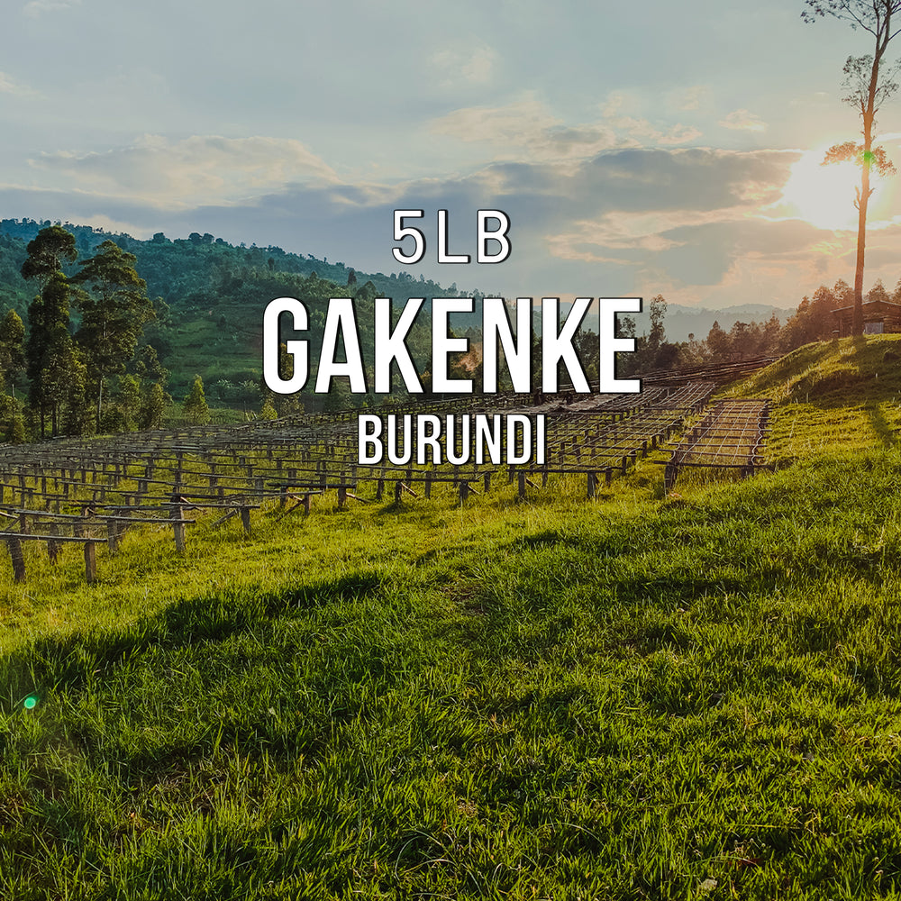 Bulk | Gakenke, Burundi Title Card
