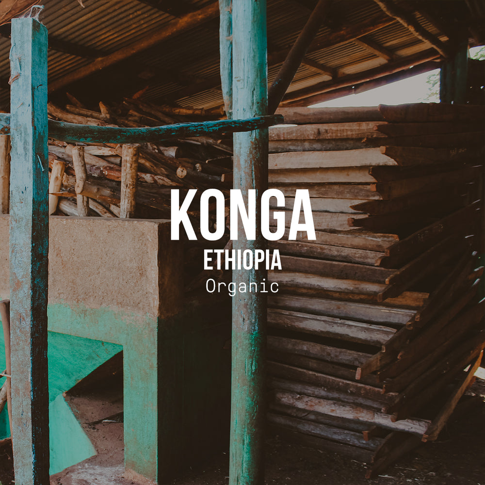 Konga, Ethiopia | Organic Title Card