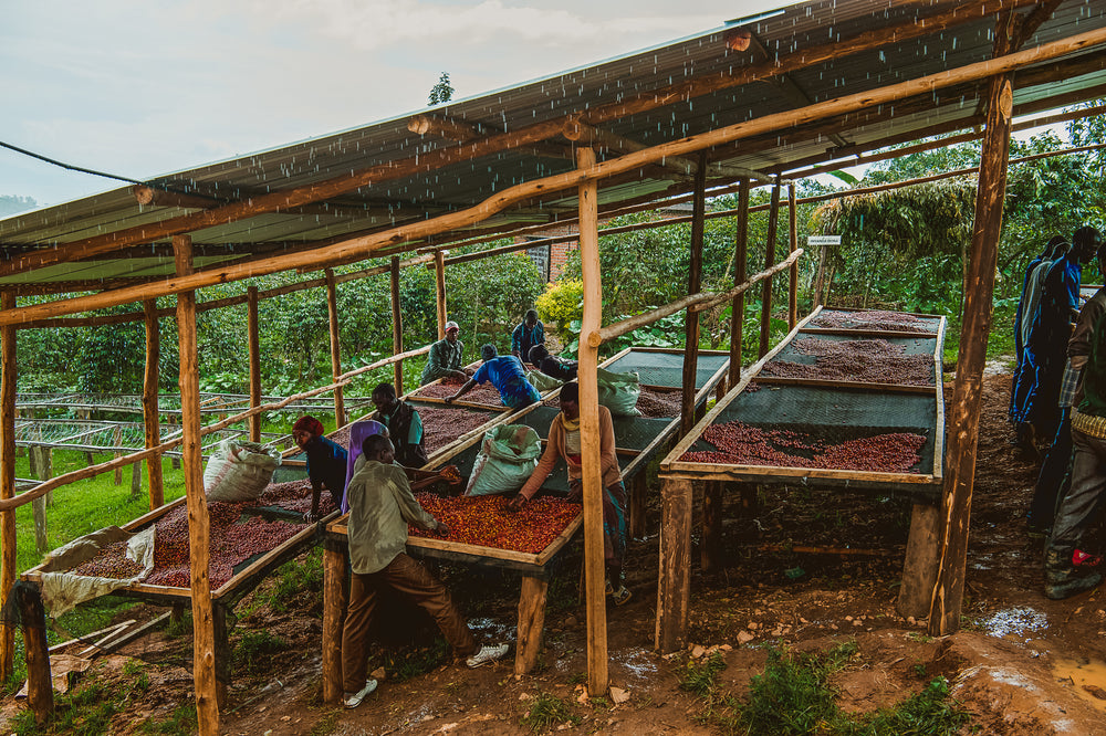 Mushonyi, Rwanda
