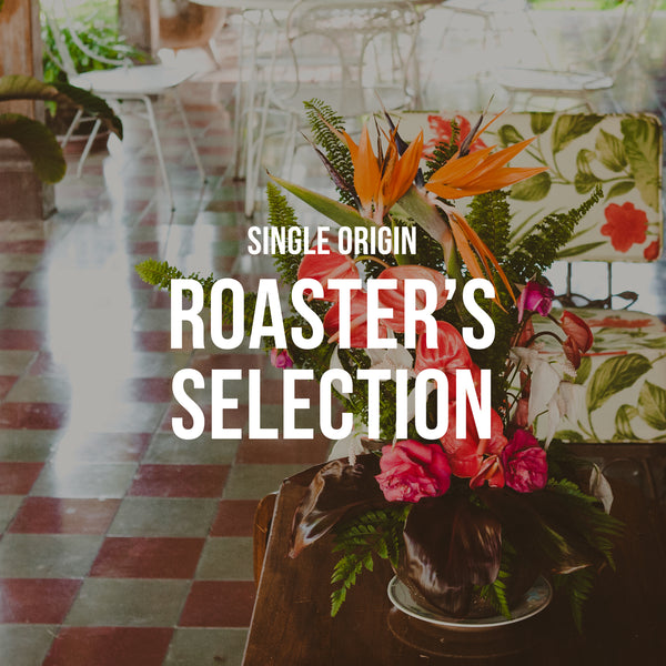 Roaster's Selection | Single Origin <br> 3 BAGS / MONTHLY / 3 MONTHS Title Card