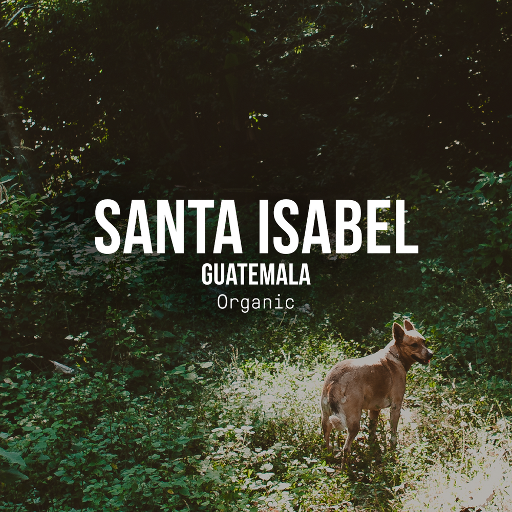 Santa Isabel, Guatemala | Organic Title Card
